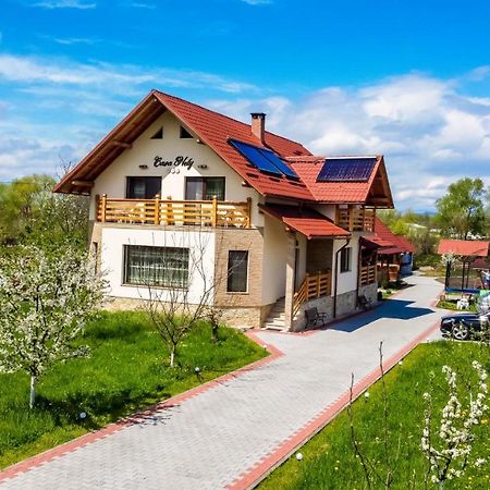 Casa Nely Hotel Sighetu Marmaţiei Eksteriør billede