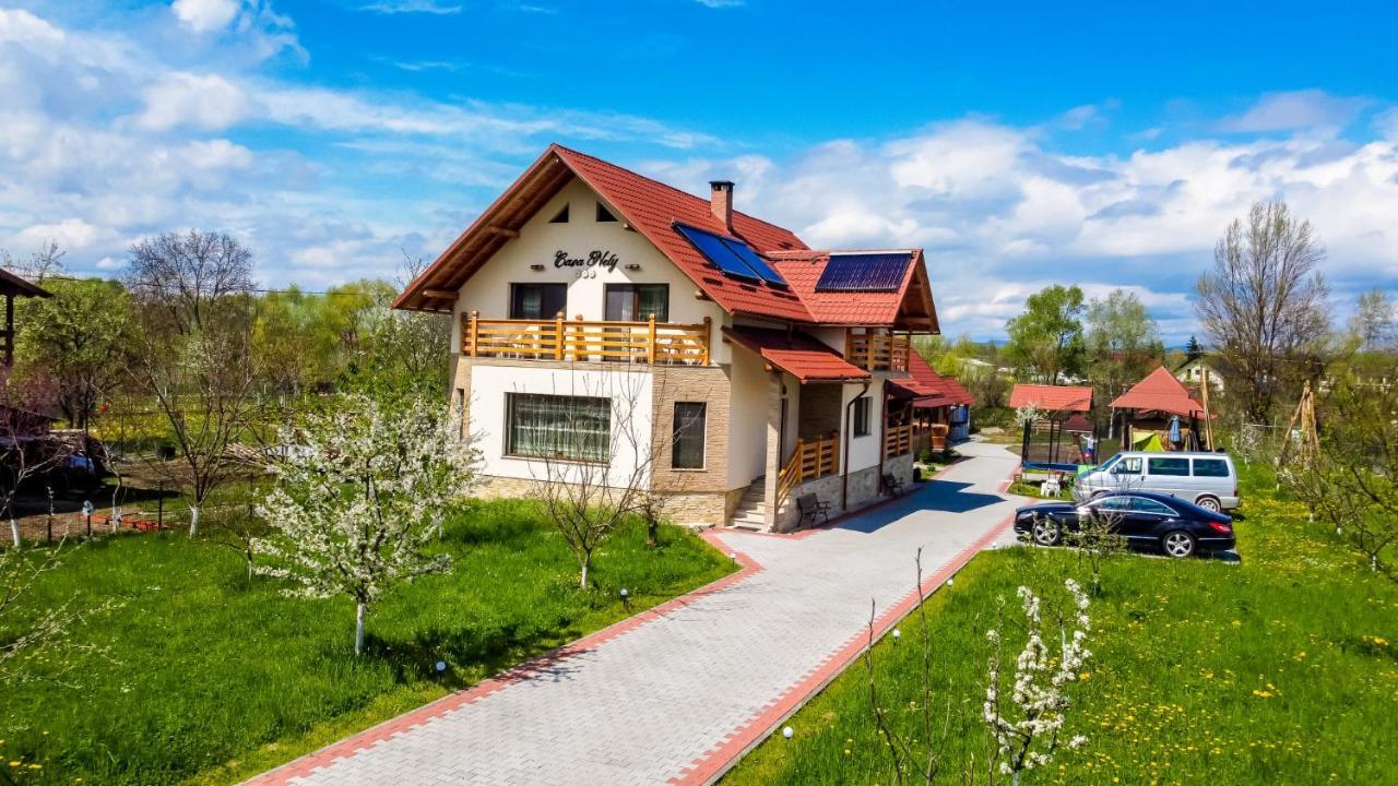 Casa Nely Hotel Sighetu Marmaţiei Eksteriør billede
