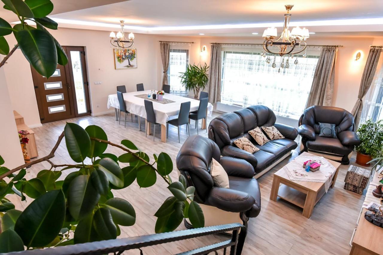 Casa Nely Hotel Sighetu Marmaţiei Eksteriør billede